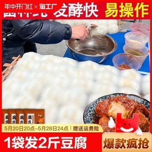 腐乳曲粉长毛臭豆腐霉豆腐毛豆腐发酵菌豆豉毛霉菌粉霉千张传统