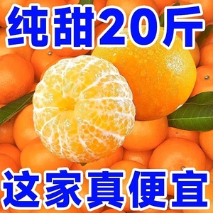 【精品】现摘沃柑云南沃柑新鲜水果超甜薄皮桔子非丑橘耙耙柑批发