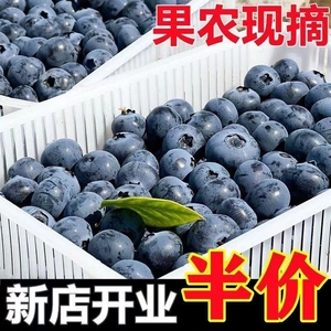 云南蓝莓新鲜水果当季整箱蓝梅鲜果现摘高山怡颗孕妇包邮70g单盒