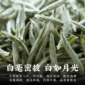 福鼎高山2023年白茶春季明前头采新茶白毫银针米针毫香散茶250g