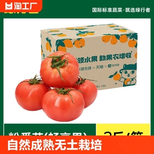 【绿行者】桃太郎粉番茄2斤新鲜自然熟沙瓤多汁西红柿蔬菜生吃