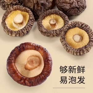 西峡香菇干货特产干香菇500克包邮剪根菌菇蘑菇农家香菇食材新鲜