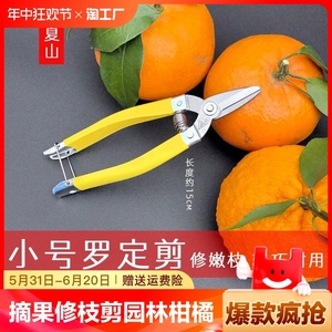 小摘果剪修枝剪修花剪刀采果园林柑橘剪桔子的葡萄枝专用窝型果把