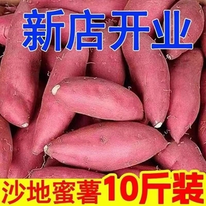新鲜地瓜沙地番薯板栗红薯红心蜜薯粉糯香薯自种广西山芋自提入口