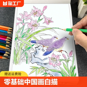 中国画白描描摹本10册工笔画底稿临摹画册动物人物花卉山水书法控笔国画初学入门线稿本绘画