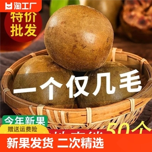 罗汉果干果正品广西桂林永福特产批发花果茶可配胖大海泡茶水果茶