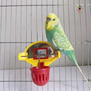 鹦鹉篮球玩具训练道具啃咬虎皮牡丹玄风中小型用品用具益智智力