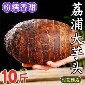 广西荔浦新鲜大芋头9斤整箱现挖粉香芋农家特产槟榔芋蔬菜包邮10