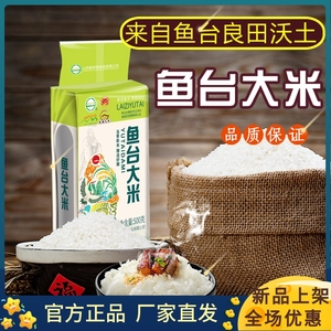 鹤来香鱼台大米粳米500g/袋新货农家大米真空包装鱼台粳米珍珠米