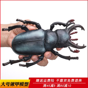 仿真昆虫玩具锹甲模型锹形甲虫锹形虫甲虫儿童科教益智礼物摆件