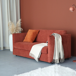 丹麦依诺维绅双人沙发床欧兰北欧现代简约小户型布艺两用功能沙发