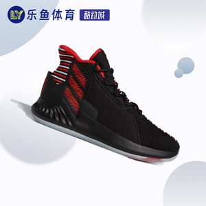 Adidas阿迪达斯D ROSE 9 - GEEK UP代男子透气运动篮球鞋EE6846