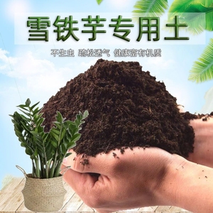 雪铁芋专用土雪铁芋营养土壤盆栽种花土种植土通用养花土花卉肥料