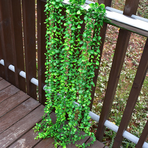 仿真绿植垂挂绿树叶花藤吊顶藤条植物常青藤藤蔓装饰塑料尤加利藤