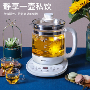 荣事达多功能养生壶电热水壶高硼硅玻璃触控式煎药花茶壶YSH5017X