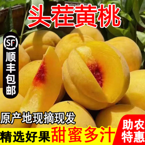 现摘新鲜砀山黄桃10斤应当季时令孕妇水果蜜桃毛脆桃子整箱