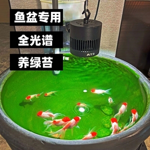 LED鱼缸落地支架吊灯挂灯金鱼圆缸专用爆藻灯瓦缸土缸吊灯可调高