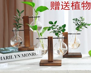 新品创意木架水培花瓶绿萝植物玻璃小容器客厅办公室桌面装饰摆件