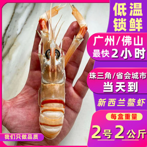 新西兰进口小龙虾Scampi南极海鳌虾纯野生2号 2kg/盒22-30尾