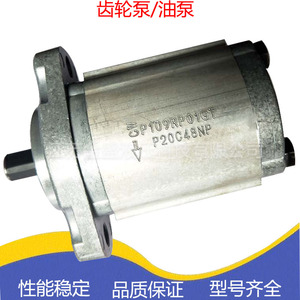 台湾KOMPASS康百世齿轮泵/油泵P104RP01GT P107RP01GT P109RP01GT