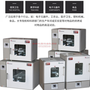 上海索谱数显台式恒温鼓风干燥箱五谷杂粮中药高温烤箱DHG-9070