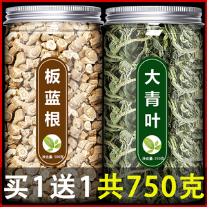 大青叶板蓝根茶中药材野生新鲜正品板兰根块草药粉片泡茶块状500g