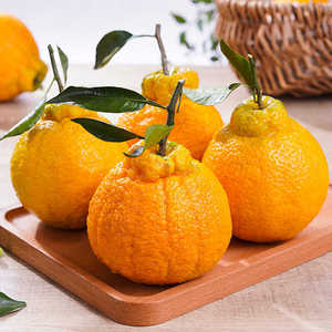江西不知火丑橘10斤水果新鲜当季整箱耙耙橘子丑八怪桔子赣州大果