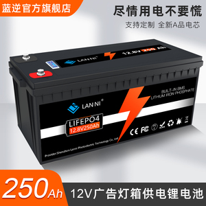蓝逆12V100AH大容400AH铅酸改磷酸铁锂电池24伏200安时太阳能储能