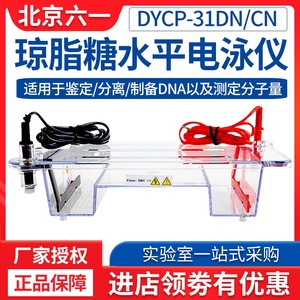 北京六一DYCP-31DN/CN电泳槽凝胶蛋白核酸琼脂糖水平垂直电泳仪