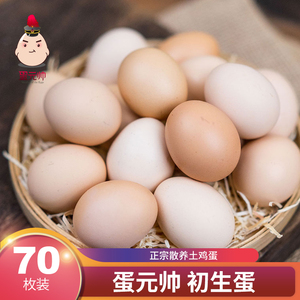 70枚初生蛋土鸡蛋正宗广西放养新鲜农家山林笨鸡蛋柴鸡蛋孩子爱吃