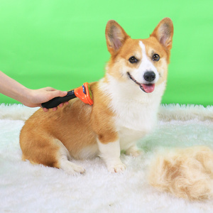 宠物柯基狗狗梳子梳毛刷毛去浮毛神器泰迪柴犬狗毛专用用品小型犬