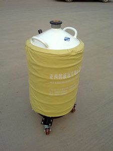 亚西液氮罐 YDS-3 6 10 15 20 30 35 125系列规格液氮罐低温容器
