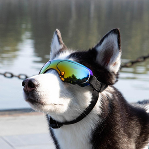 狗狗眼镜泰迪柯基小太阳镜柴犬金毛中大型犬专用宠物防风护目墨镜