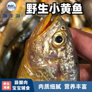 浙奉渔野生细鳞小黄鱼4斤 1斤6-8条新鲜小黄花鱼海捕舟山小黄鱼