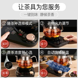 蒸茶壶喷淋式蒸汽玻璃煮茶器安化黑茶专用煮茶壶家用全自动多功能