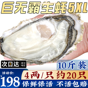 生蚝鲜活10斤特大威海乳山生吃活牡蛎刺身一级海蛎子三倍体20个装