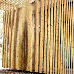 装修竹竿防腐碳化竹子隔断吊顶栅栏粗毛竹搭架竹杆细碳化彩旗竹竿