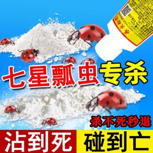 七星瓢虫专用药花大姐杀虫剂室内一楼驱虫家用非无毒百虫灵跳蚤xf