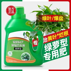 营养液绿萝专用肥料营业液花肥植物盆栽家用绿箩吊兰通用型液体肥