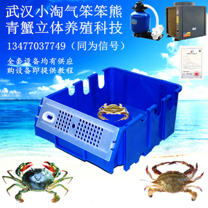 青蟹梭子蟹大闸蟹室内立体养殖盒循环水海水淡水专用螃蟹养殖设备