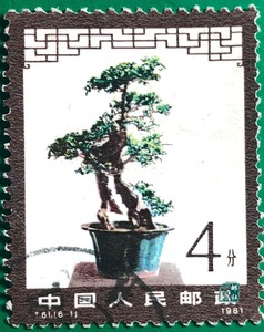T61 盆景艺术榔榆纯信销散票4分全品（6-1）随机智 特种邮票