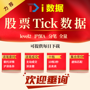 股票level2逐笔委托十档集合竞价tick指数基金可转债数据