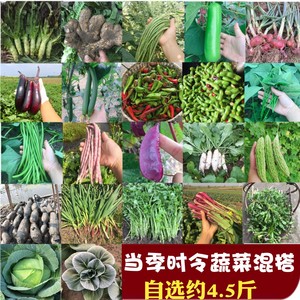 农家自种新鲜时令蔬菜糯茄子嫩黄瓜南瓜辣椒土豆苋菜莴笋洋葱4斤