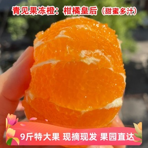 四川正宗青见果冻橙子当季整箱5月应季水果新鲜柑桔大果孕妈榨汁