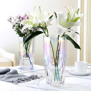 轻奢风北欧玻璃花瓶透明客厅插花富贵竹水养玫瑰百合餐厅桌面摆件