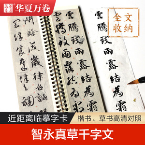 华夏万卷 毛笔近距离临摹字卡 智永真草千字文 墨迹本草书行草高清还原临帖练字帖教程 智永草书书法临摹字卡 草书千字文字卡字帖