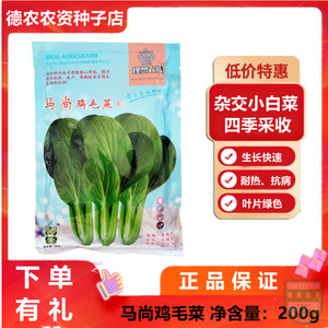 马尚 鸡毛菜种子 四季小白菜种籽 生长速度快 耐热抗病 叶柄绿色