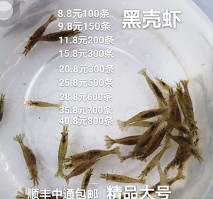 黑壳虾除藻冷水草缸小型鱼热带鱼乌龟龙鱼鱼食饲料增红
