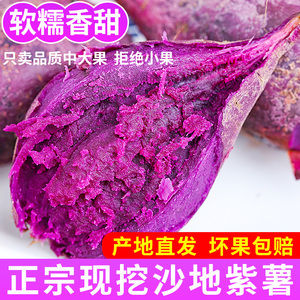 紫薯新鲜农家自种板栗蜜薯香红沙地糖心蔬菜番薯地瓜10粉糯甜