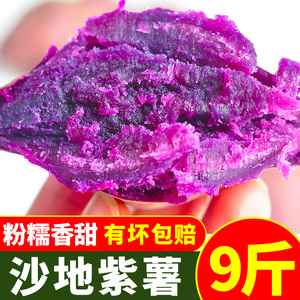 湖北沙地紫薯9斤新鲜现挖地瓜红薯番薯农家自种批发包邮农产品10
